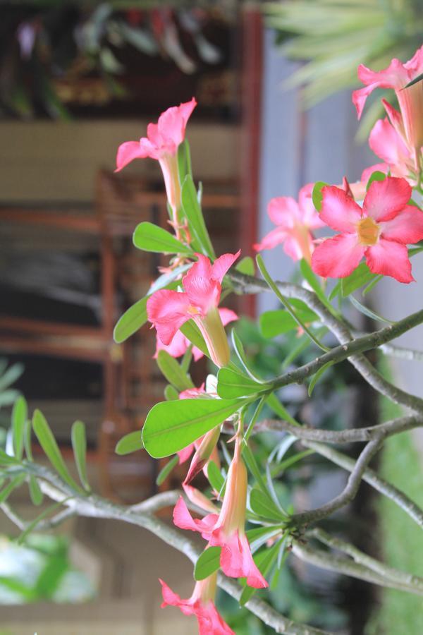 Secret Garden Sky Hotel Ubud  Exterior photo